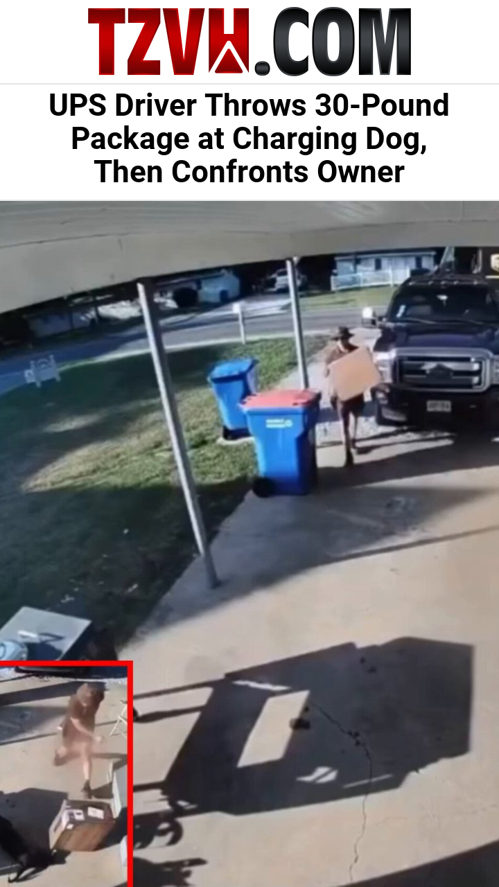 UPS Driver Throws 30-Pound Package at Charging Dog, Then Confronts Owner