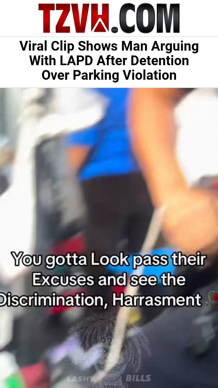 Viral Clip Shows Man Arguing With LAPD After Detention Over Parking Violation
