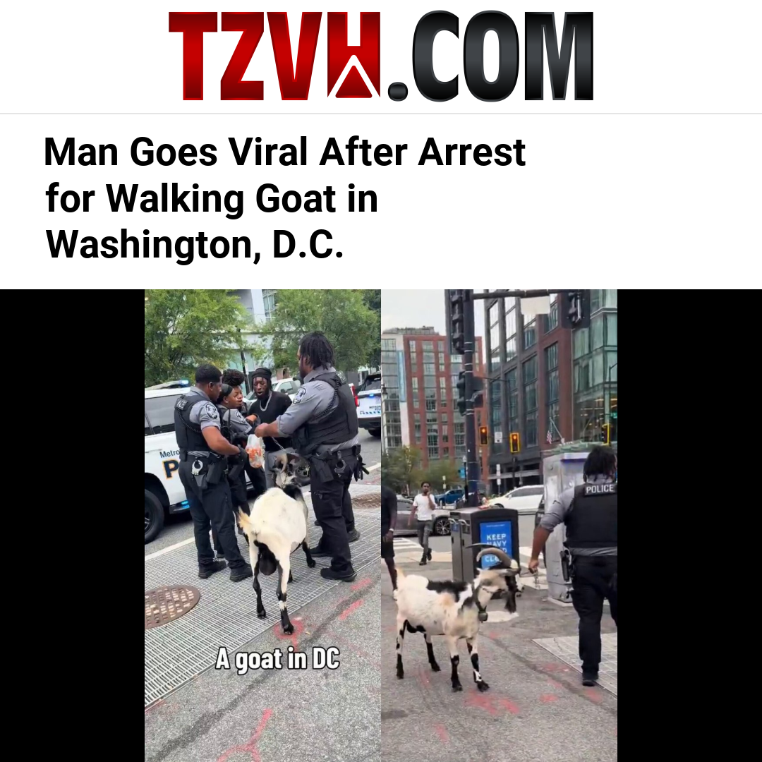 Man Goes Viral After Arrest for Walking Goat in Washington, D.C.