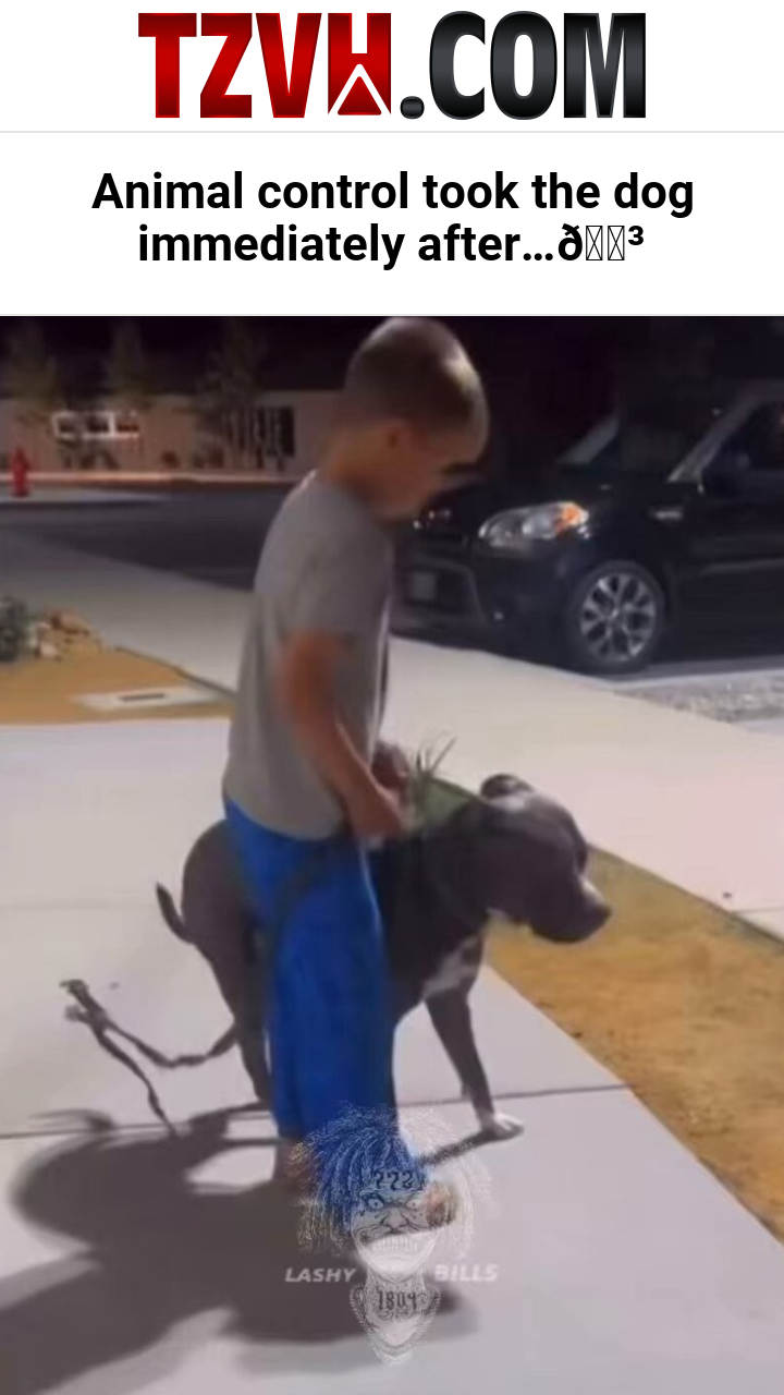 Animal control took the dog immediately after…😳