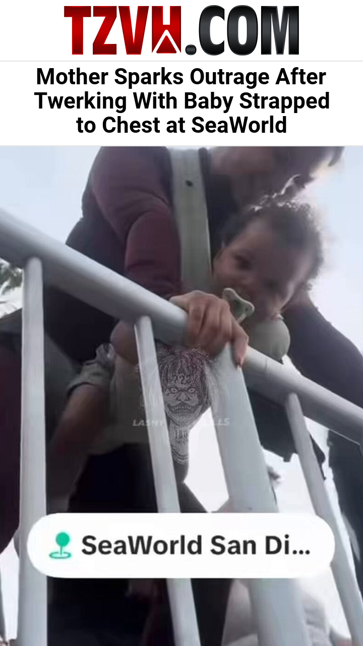 Mother Sparks Outrage After Twerking With Baby Strapped to Chest at SeaWorld