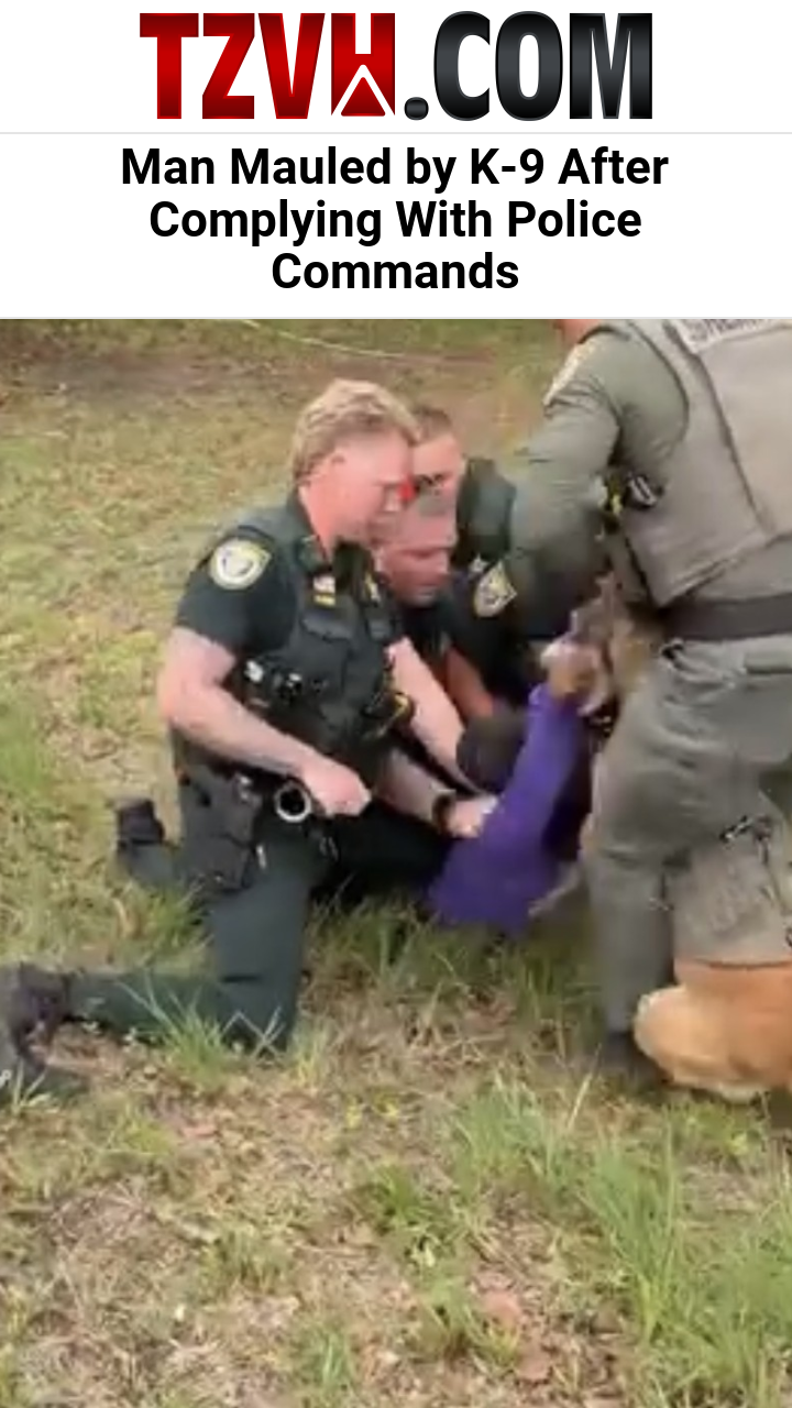 Man Mauled by K-9 After Complying With Police Commands