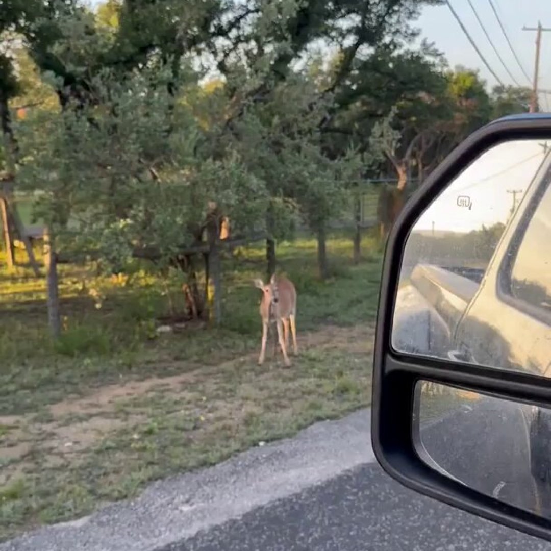 Dude couldn't believe his eyes