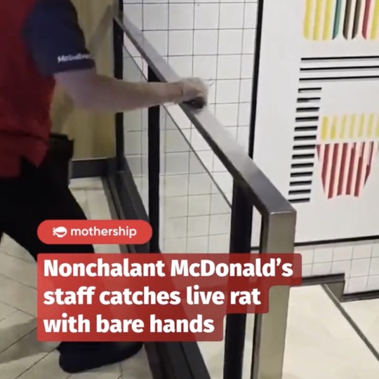 Taiwan McDonald’s Worker Goes Viral After Bare-Handed Rat Catch