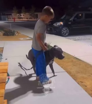 Animal control took the dog immediately after…😳