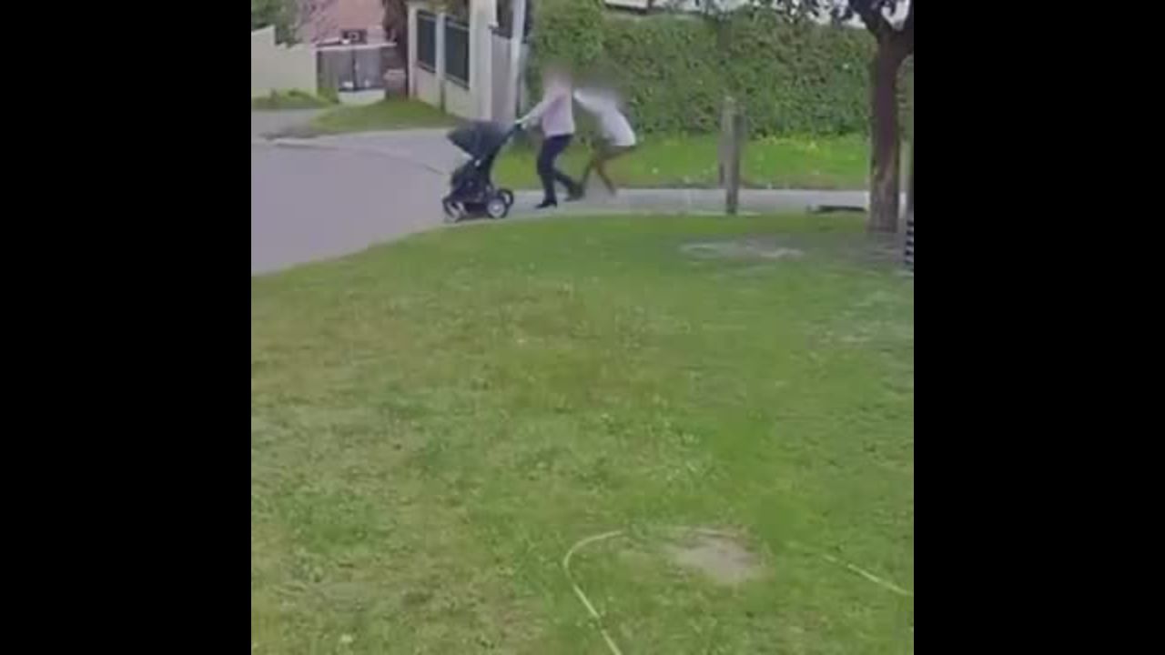 Black Woman Caught on Video Assaulting and Robbing Pregnant White Woman with Two Children in Broad Daylight