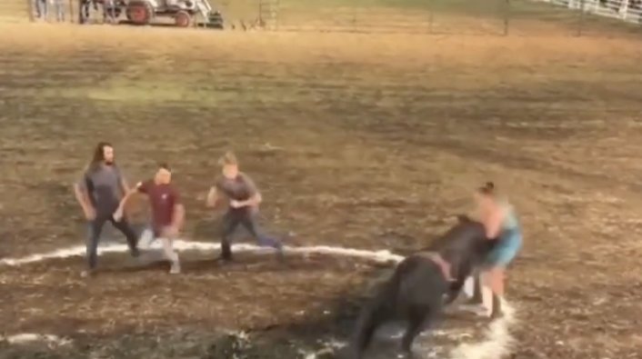 Video: Woman Steps into the "Ring of Fire" and Gets Bulldozed by a Bull at the Rodeo