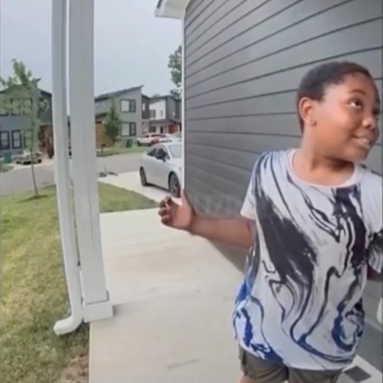 Debate Erupts Online After Child Smells BBQ, Knocks for Food, Gets Chips Instead