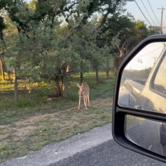Dude couldn't believe his eyes
