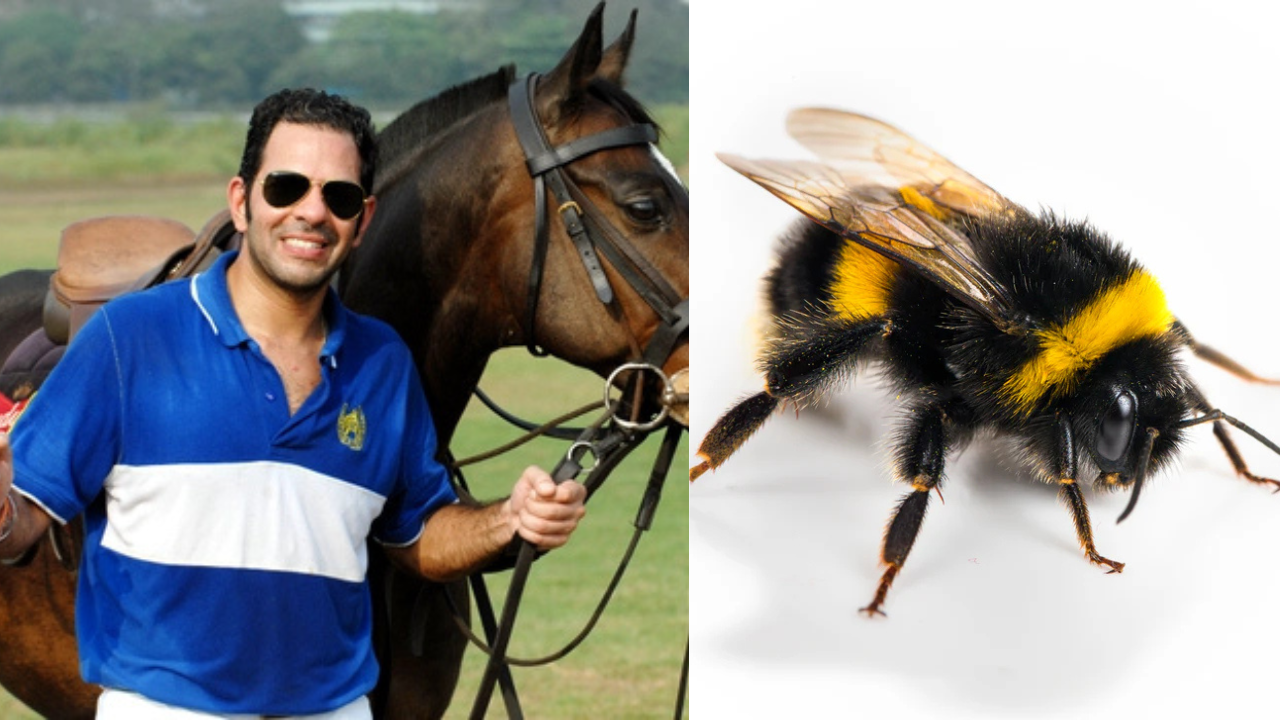 Billionaire Sunjay Kapur Dies After Deadly Bee Sting During Polo Match